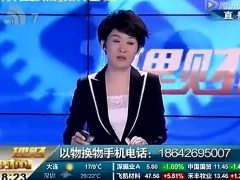 视频从理赔数据看重疾.rar