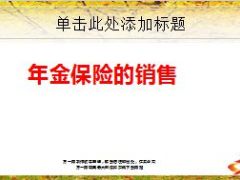 年金保险的销售技巧和话术16页.ppt