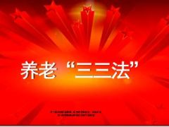 养老三三法运用分享24页.ppt