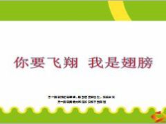 国寿基本法组织发展之路19页.ppt