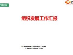 收展组织发展增员工作汇报32页.ppt