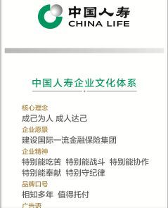 中国人寿企业文化手册电子文件.rar