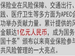保险APEC会议守护者6页.ppt