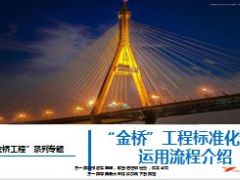 金桥工程标准化资源运用流程介绍19页.ppt