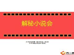 解秘小说会成功秘诀16页.ppt