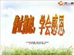 2014年感恩节早会停止抱怨学会感恩22页.ppt