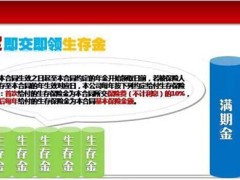 中国人寿国寿鑫如意保险白金版介绍宣导29页.ppt
