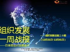 四季度组织发展盘点一周战报49页.ppt