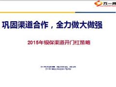 银保渠道开门红经营策略24页.ppt