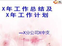 中心支公司总经理年度总结和新一年计划51页.ppt