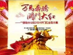 保险分公司开门红业务方案宣导片59页.ppt