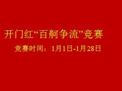 分公司个险部开门红方案16页.ppt