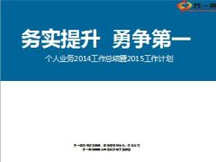 个险年度工作总结下年度工作计划44页.ppt