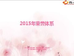 年度荣誉体系七星俱乐部12页.ppt