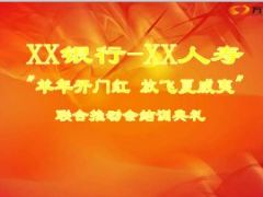 银保开门红合作推动方案24页.ppt