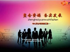 中心支公司2014发展汇报2015规划32页.ppt