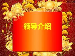 2015年保险公司开门红方案宣导启动会94页.ppt