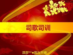 2014年总结暨2015年开门红启动大会流程37页.ppt