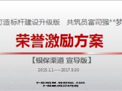 银保渠道2015至2017省三年发展规划荣誉激励方案37页.ppt