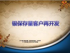 银保存量客户再开发21页.ppt