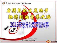 2015年总分公司荣誉体系45页.ppt