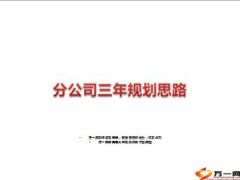 2014年至2017年分公司三年规划思路17页.ppt