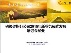 省级架构分公司2015年银保新业务模式发展研讨会纪要19页.ppt