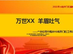 个险2015年开门红配套方案12页.ppt