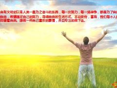 分公司2014年回顾展望12页.ppt