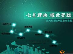 太平洋东方红B款介绍宣导13页.ppt