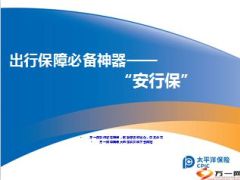 太平洋安行保保险产品定位责任15页.ppt