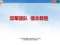 打好冠军团队基础培养冠军团队精神45页.ppt