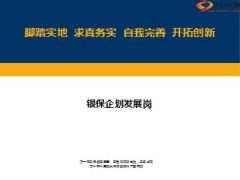 银保企划发展岗2014年总结述职报告8页.ppt