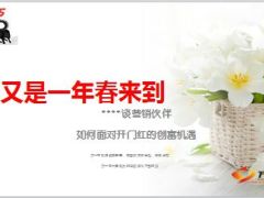 谈营销伙伴如何面对2015开门红的创富机遇36页.ppt