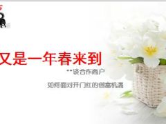 谈合作商户如何面对2015开门红的创富机遇41页.ppt