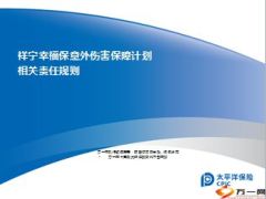 太平洋祥宁幸福保意外伤害保障计划相关责任规则4页.ppt