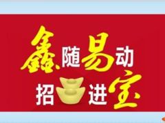 国寿银保鑫易宝2015年开门红宣导50页.ppt