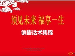 新华福享一生销售话术集锦29页.ppt