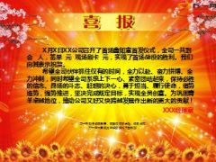 市公司给支公司下发的喜报贺报1页.ppt