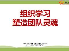主管分享组织学习塑造团队灵魂65页.ppt