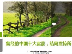 曾经的中国十大富豪结局震惊所有人27页.ppt