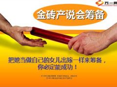 金砖产说会运作操作56页.ppt