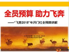 飞奔2015年开门红全预算目标管理讲解26页.ppt
