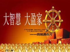 理财酒会灯片高端版合众大盈家51页.ppt
