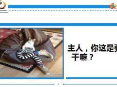 每日快乐早会14年12月9日使用14页.ppt