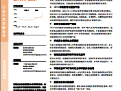 2015年保险行业年度策略报告26页.rar