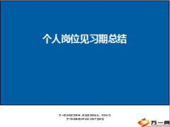 新人培育岗位见习期总结11页.ppt