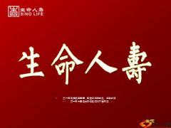 生命人寿介绍概况发展优势讲解11页.ppt