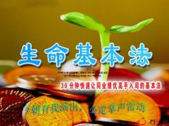 30分钟快速让同业绩优高手入司的基本法生命版24页.ppt