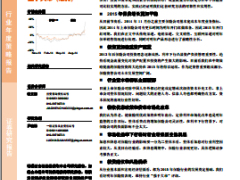 保险行业2015年年度策略报告26页.rar